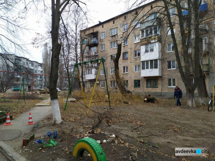 Осторожно! В Авдеевке пилят деревья (ФОТОФАКТ)