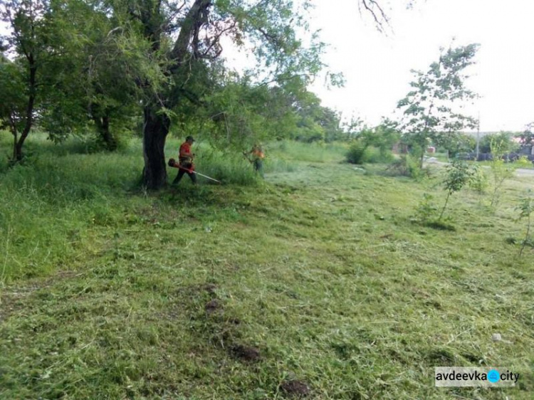 Комунальники виконують роботи з благоустрою в районі міського цвинтаря