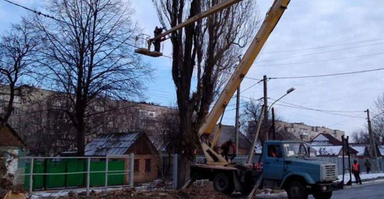 В Авдеевке коммунальщики удаляют аварийные деревья