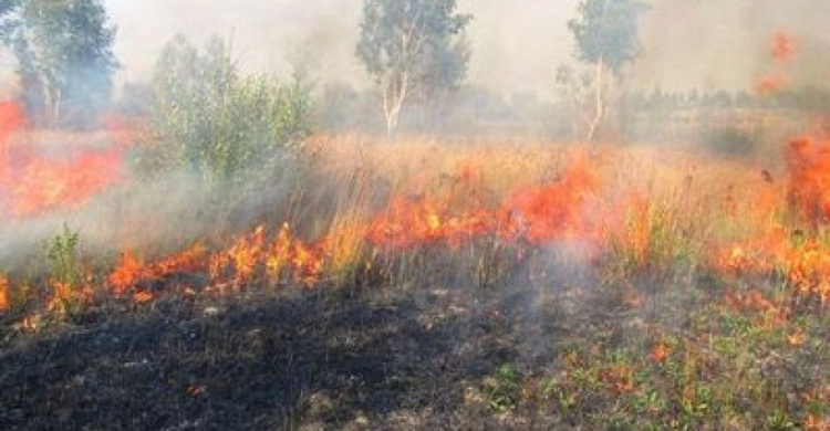 Донецкую область предупредили об опасности