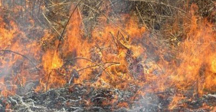 В полицию Авдеевки сообщили о пожарах