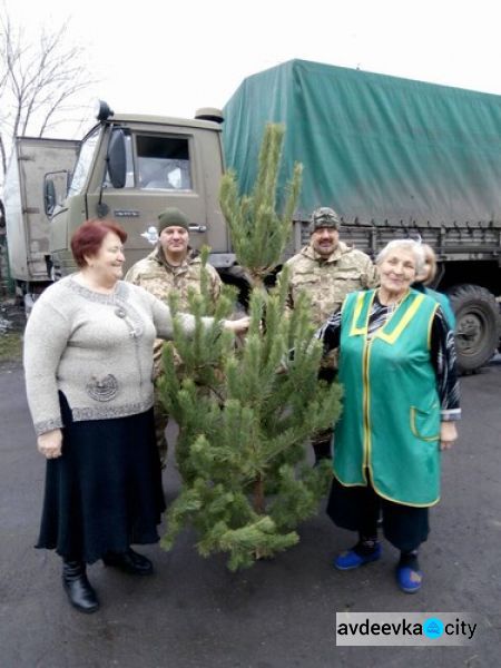 В Авдеевке елки «кусаются» и дарятся