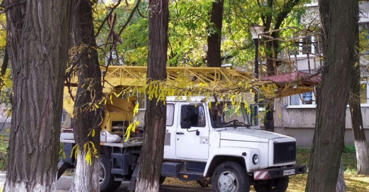 В Авдеевке обрезают аварийные ветви (ФОТОФАКТ)