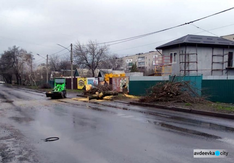 Комунальники Авдіївки проводять санітарку обрізку та видалення аварійних дерев