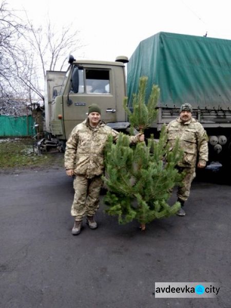 В Авдеевке елки «кусаются» и дарятся