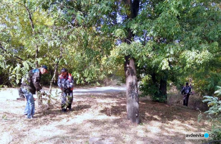 Коммунальщики в "чистый четверг" чистили от поросли парк возле четвертой школы