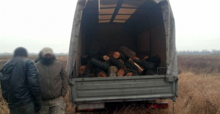 Полицейские выявили трех "черных лесорубов" из Авдеевки  (ФОТО)