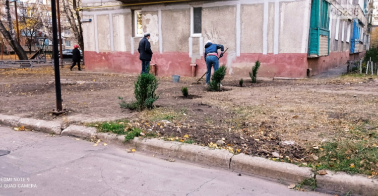 Жители ОСМД «Юбиляр-Авдеевка» обустраивают придомовую территорию в рамках конкурса «Преобразим Авдеевку вместе!» (ФОТОФАКТ)