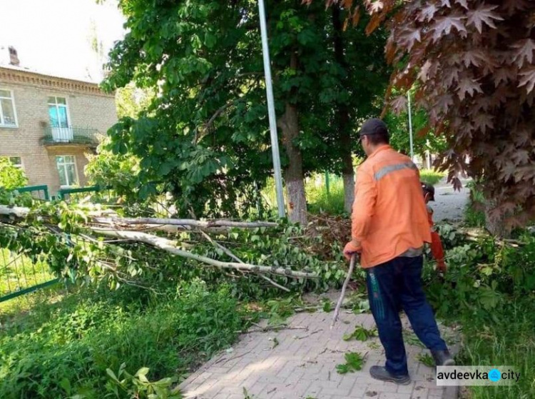 В Авдіївці рашисти знищують улюблений містянами парк відпочинку 