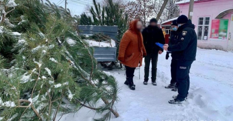 На Донетчине изъяли около трехсот браконьерских елок