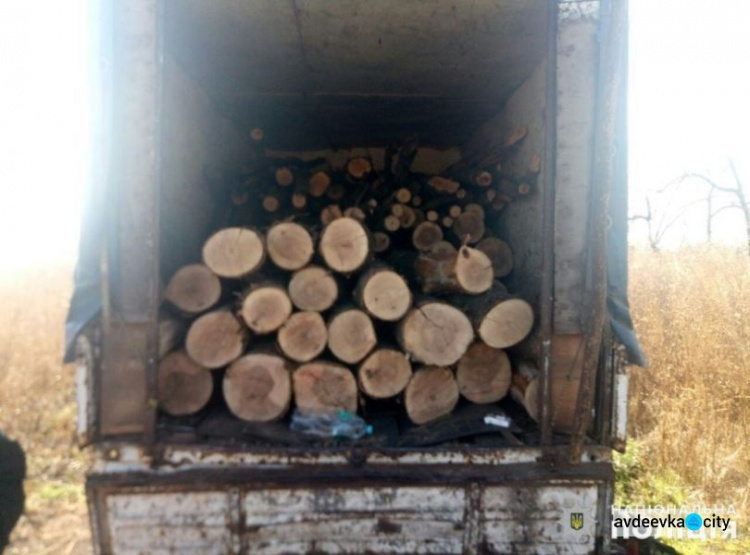 Авдеевские копы поймали «черных лесорубов» (ФОТО)