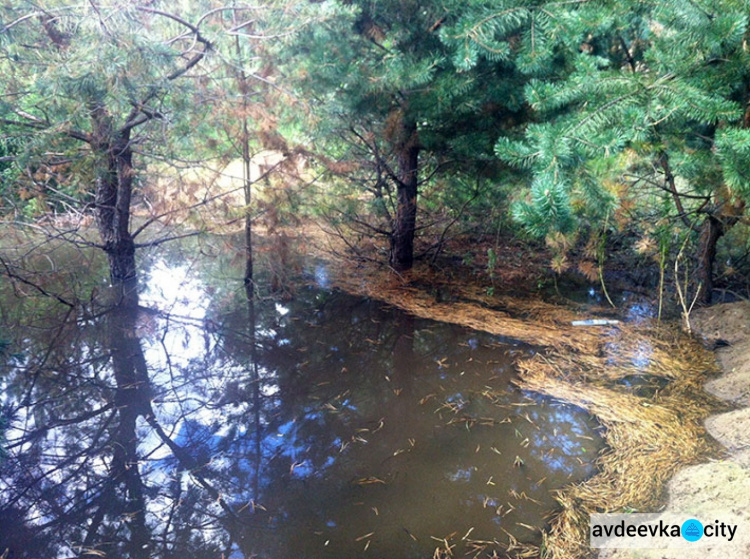 В курортной зоне Донетчины неизвестные залили землю сточными водами (ФОТО)