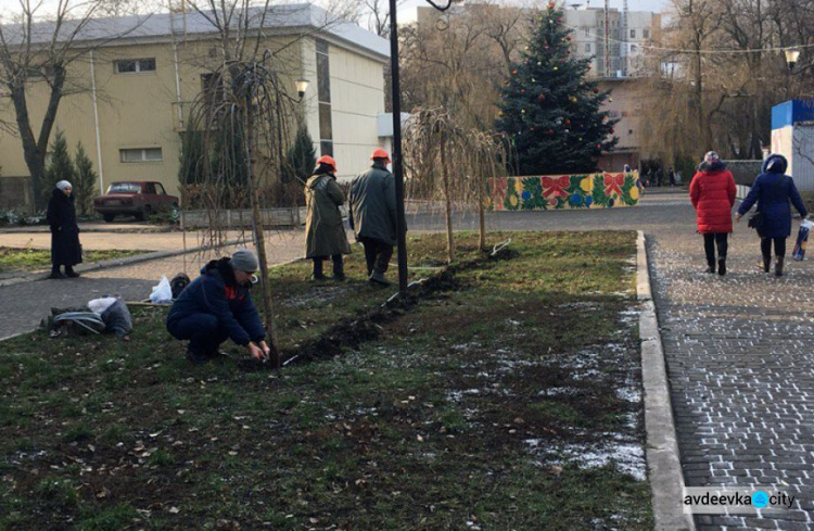 Авдеевка: «новогодними вандалами» оказались три девушки