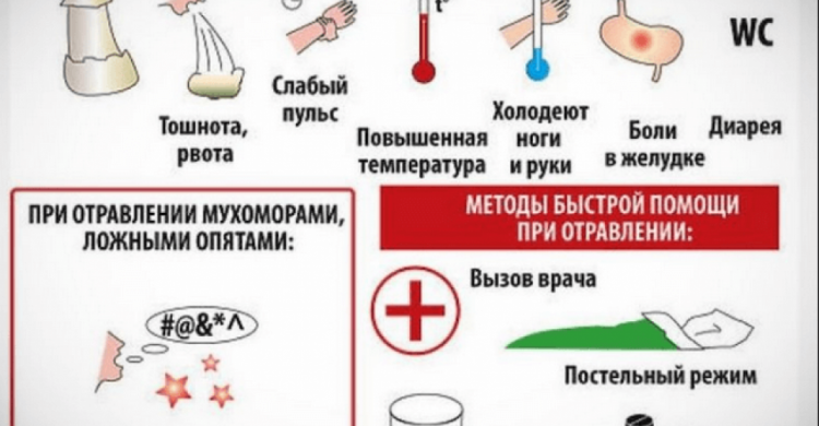 Грибной удар: как не стать жертвой отравления и как бороться с его последствиями