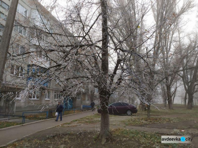 В Авдеевке -3°С: город покрыт инеем и туманом. ФОТОФАКТ