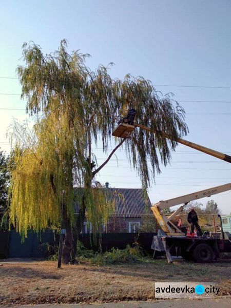 Аварийные ветки - долой: коммунальщики Авдеевки расчищают электросети (ФОТО)