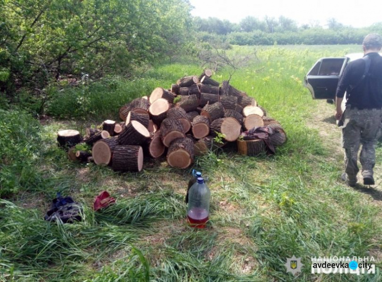 Жители Авдеевки оказались «черными лесорубами» (ФОТО)