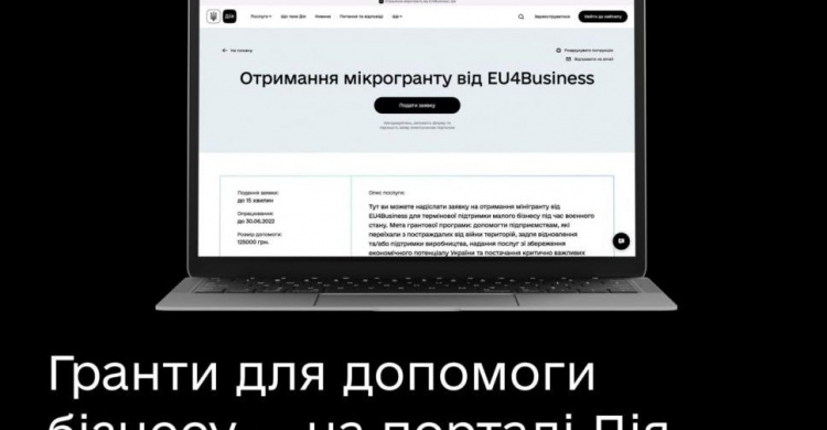 Гранти для допомоги бізнесу в «Дії»: хто з авдіївських підприємців може отримати допомогу