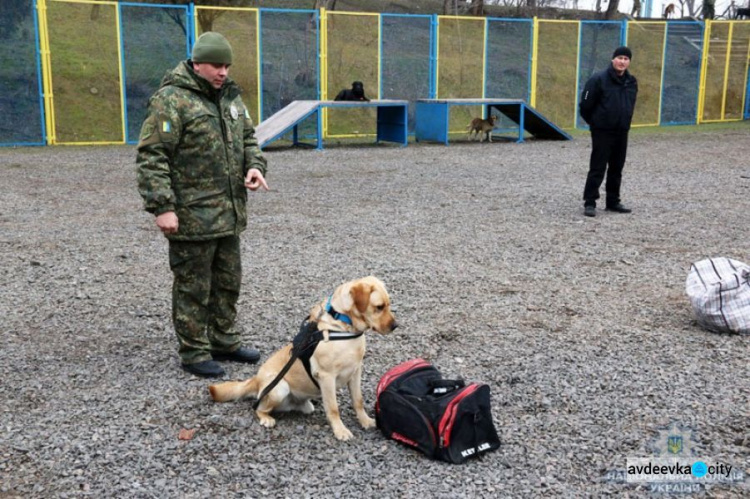 Четвероногие помощники находят на Донетчине оружие и взрывчатку (ФОТО)