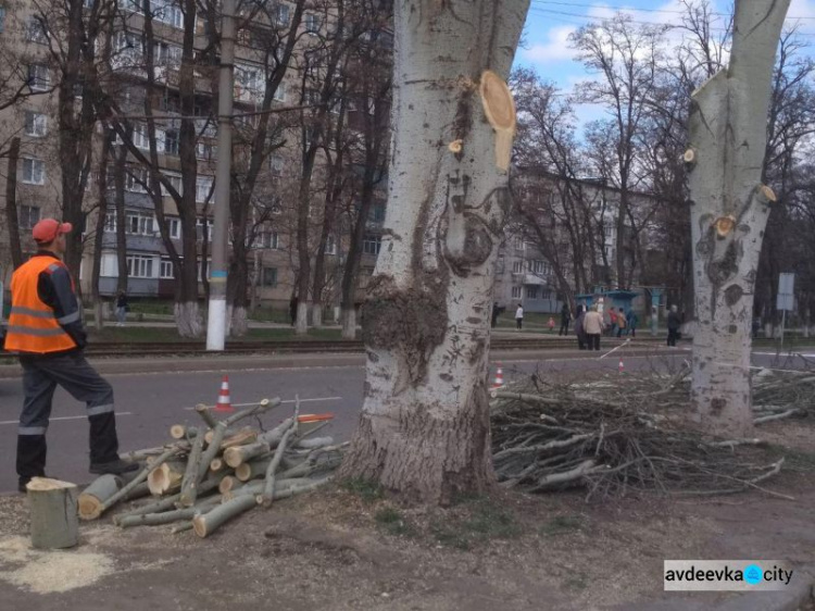 Авдеевка: внешний вид центрального проспекта меняется на глазах (ФОТОФАКТ)