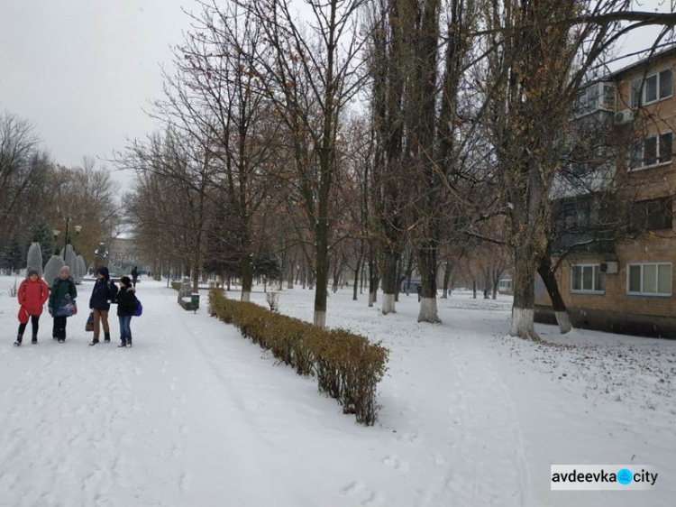 В Авдеевке спасают деревья от морозов (ФОТОФАКТ)