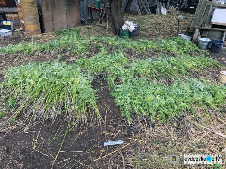 Поліцейські Покровського районного задокументували більше двохсот злочинів у сфері нелегального обігу наркотичних речовин