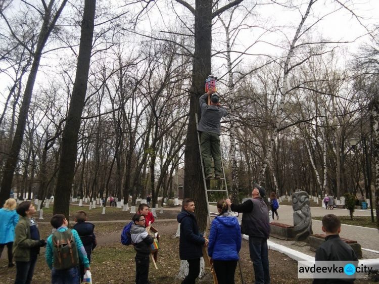 В авдеевском парке появились новые домики для птиц (ФОТО)