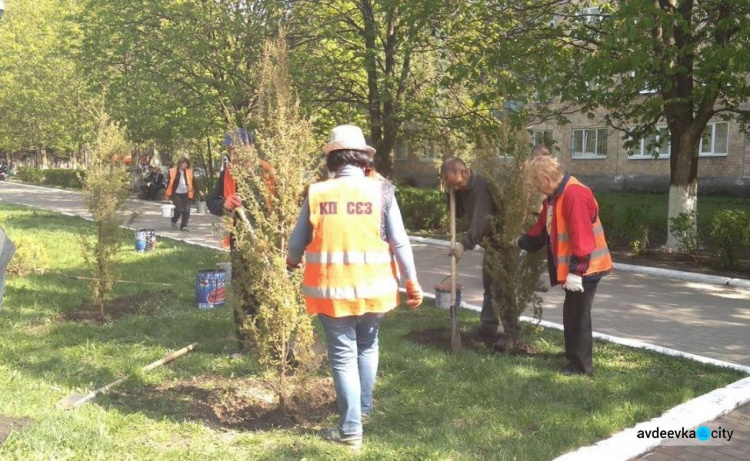 В Авдеевке высаживают «зеленые подарки»: опубликованы фото