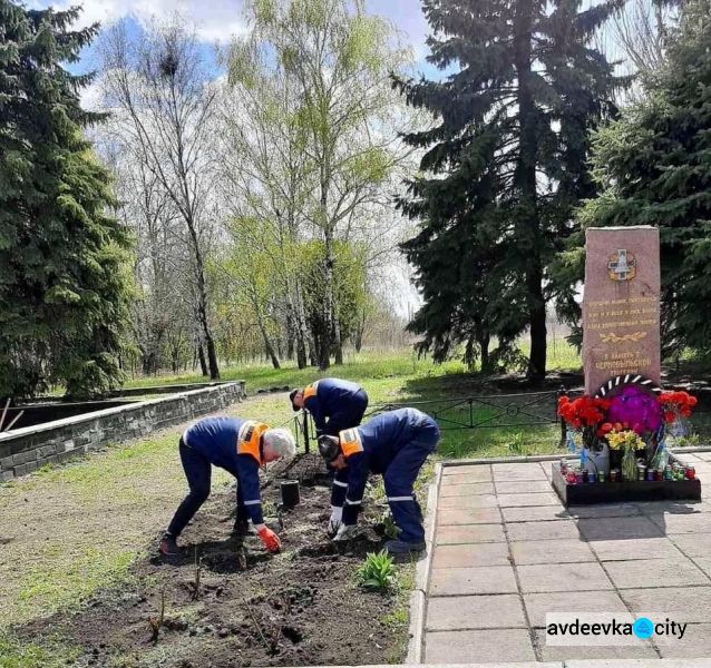 В Авдіївці біля меморіалу жертвам Чорнобильської трагеді висадили троянди