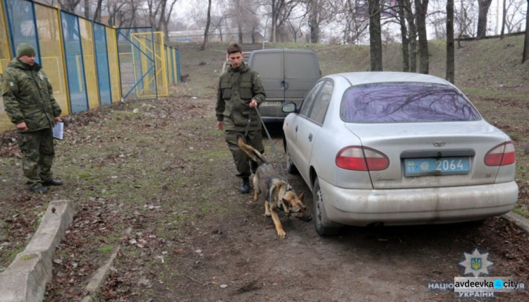 На Донетчине появились необычные «спецназовцы» с дипломом: опубликованы фото