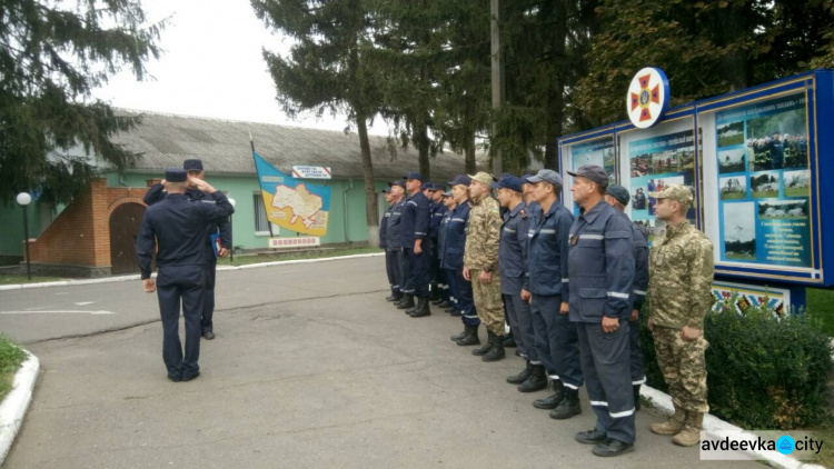 Собаки-детекторы показали "класс"  в  поиске взрывчатки в зоне АТО (ФОТО)