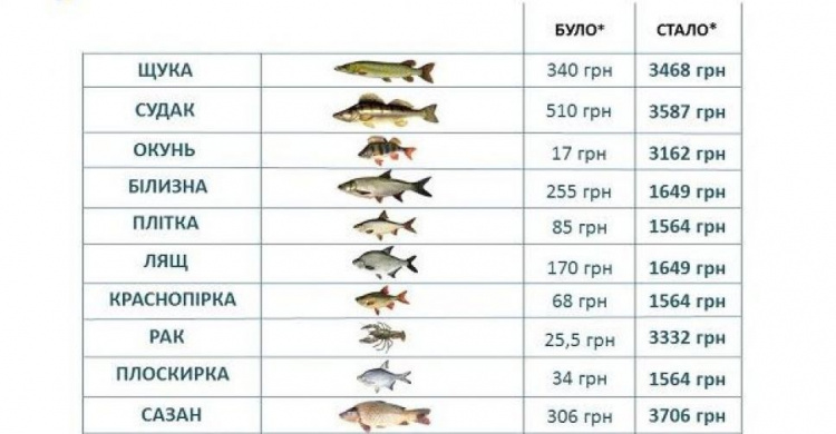 В Украине в сотни раз увеличили штрафы за незаконный вылов раков и рыбы