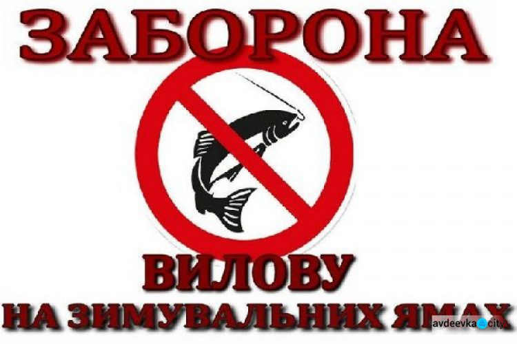 На Донеччині з 1 листопада обмежать вилов риби: порушників штрафуватимуть