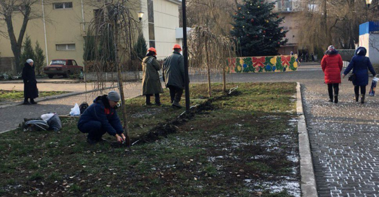 Авдеевка: «новогодними вандалами» оказались три девушки