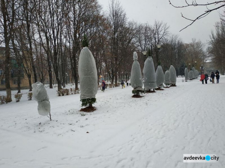 В Авдеевке спасают деревья от морозов (ФОТОФАКТ)