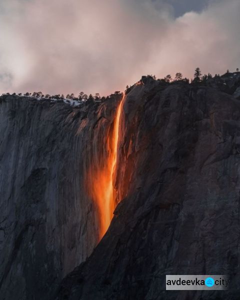 National Geographic назвал лучшее фото года