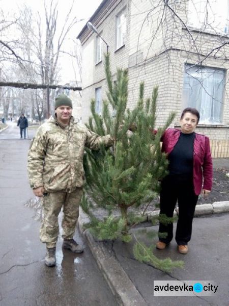 В Авдеевке елки «кусаются» и дарятся