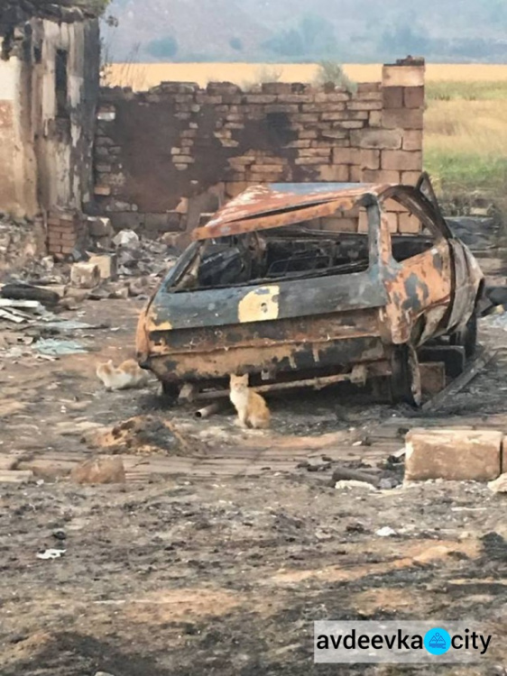 Пожар, начавшийся с горения травы, стер с лица земли село в Донецкой области (ФОТО)