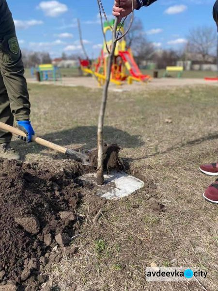 Авдіївці приєдналися до екологічного проекту «Озеленення планети» (ФОТОФАКТ)