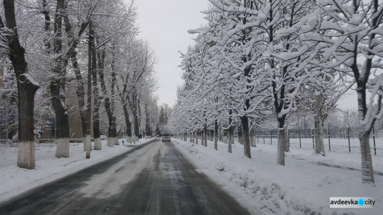 В Авдеевке снег скрыл следы войны: яркие фото