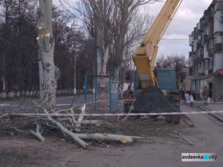 Авдеевка: внешний вид центрального проспекта меняется на глазах (ФОТОФАКТ)