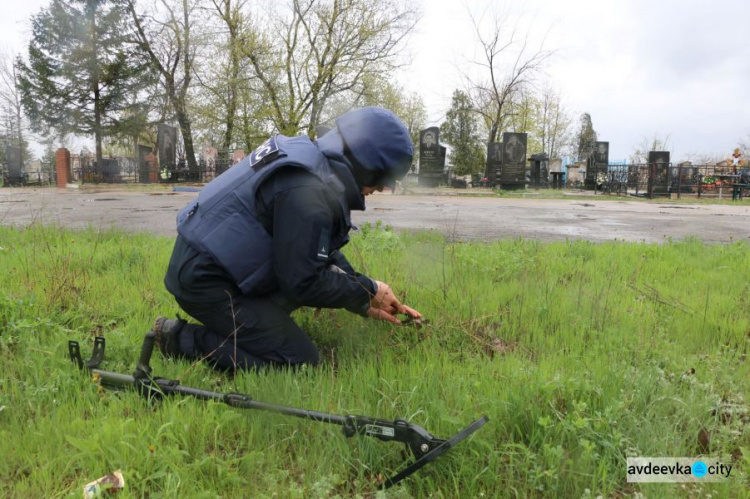 Кладбища в Донецкой области перед Радоницей проверяют на наличие боеприпасов (ФОТО/ВИДЕО)