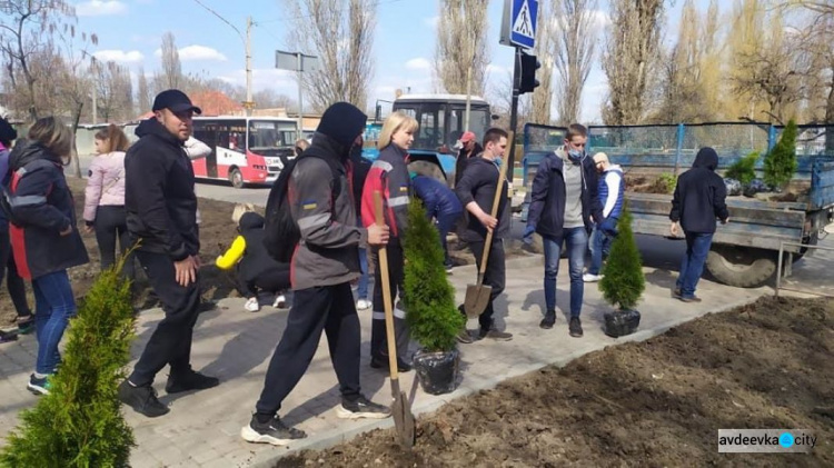 Авдіївці приєдналися до екологічного проекту «Озеленення планети» (ФОТОФАКТ)