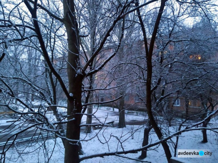 Первый день зимы порадовал авдеевцев снегом