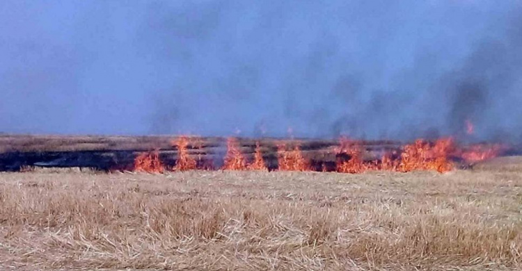 В Донецкой области объявлен самый высокий уровень пожарной опасности