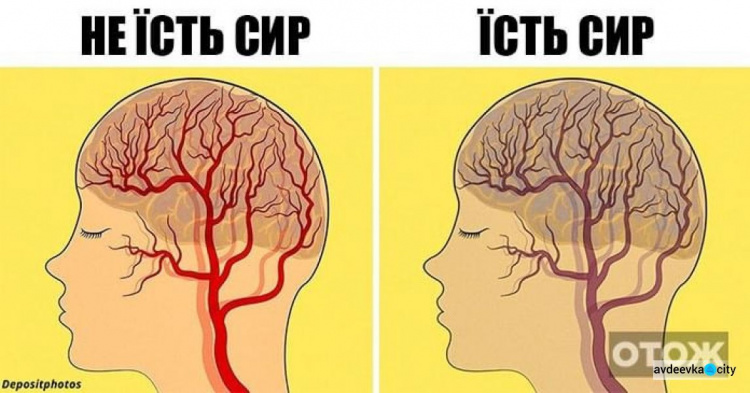 Щоб не було хвороби Альцгеймера авдіївцям треба їсти сало: які 12 продуктів впливають на психіку 