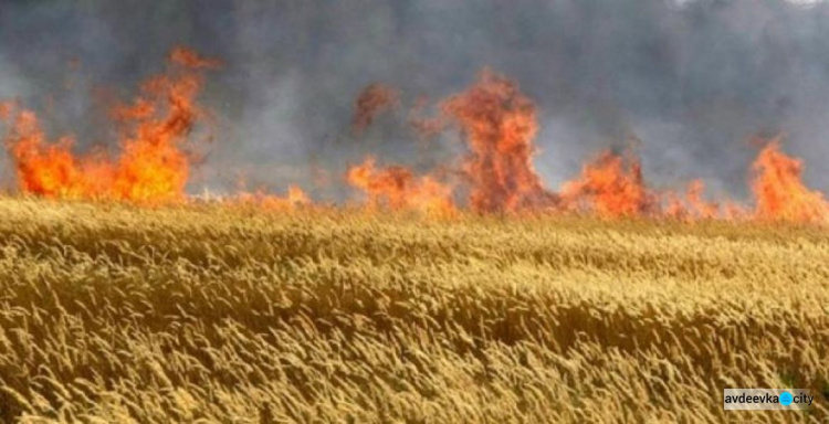 На Донеччині зросла надзвичайна пожежна небезпека