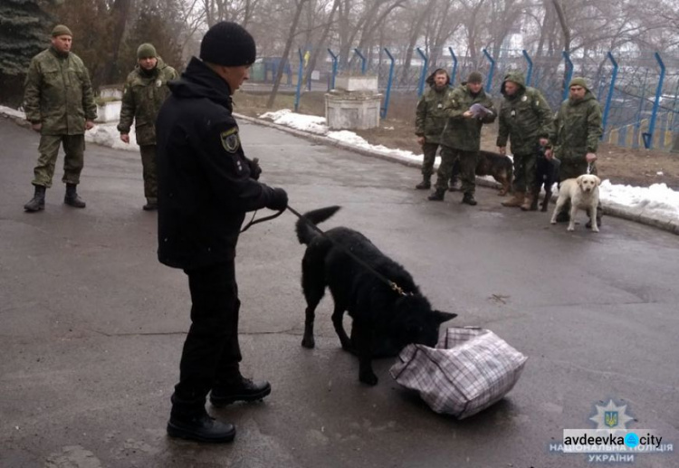 На Донетчину прибыл новый четвероногий отряд