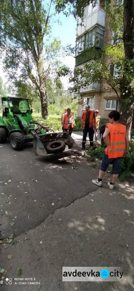 Долой токсичные покрышки: коммунальщики продолжают ликвидировать автошины на придомовых территориях