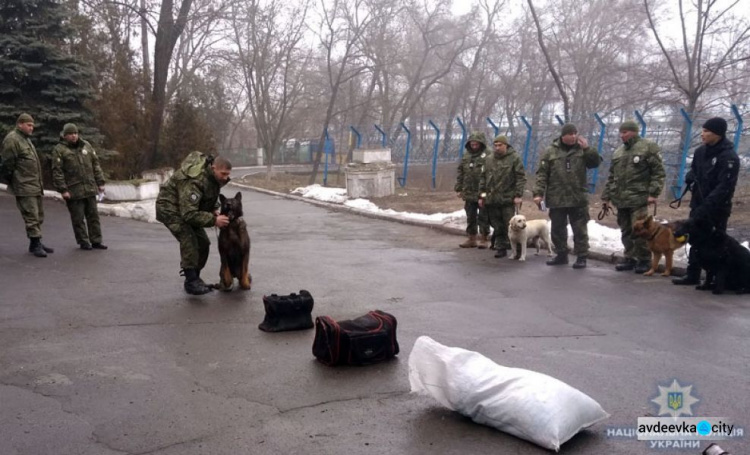 На Донетчину прибыл новый четвероногий отряд